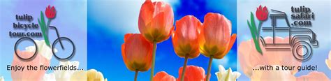 tulipbicycletour - english (Home TBT) - Tulip Bicycle Tour