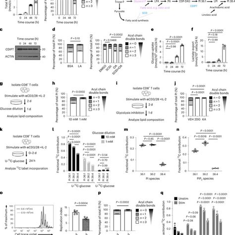 Pip2 Saturation Potentiates Effector T Cell Signaling A Schematic Of