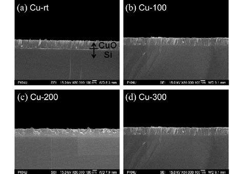 The Cross Sectional Sem Images Of Cu Oxide Thin Films Obtained At