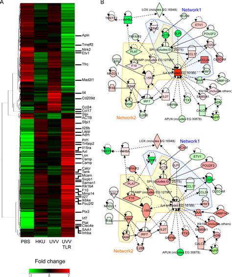 Global Gene Expression Profiles Of Mice Immunized With UV V After