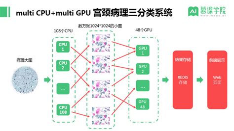 宜远智能ceo吴博：医学影像的数据标注、算法方法与算力优化 搜狐大视野 搜狐新闻