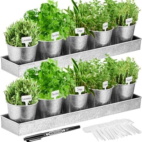 Amazon Foldtier Sets Herb Garden Planter Indoor Kit With Trey