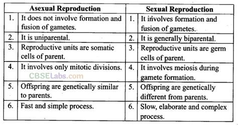 Ncert Exemplar Class Biology Chapter Reproduction In Organisms