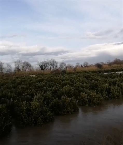 Corigliano Rossano Esondazione Fiume Crati Confagricoltura