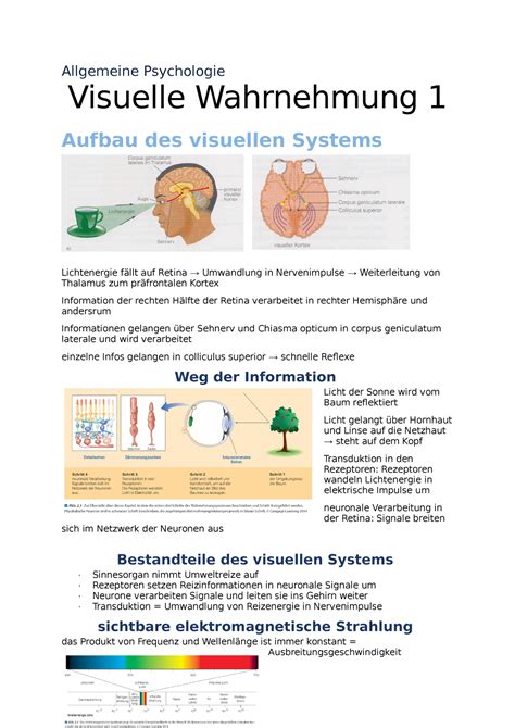 Visuelle Wahrnehmung Allgemeine Psychologie Visuelle Wahrnehmung