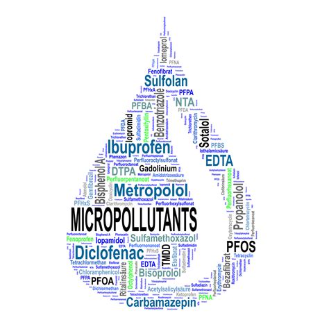 Texto Sobre Meio Ambiente Em Ingl S Tradu O