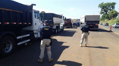 Regional Hoje Pol Cia Rodovi Ria Federal E Ibama Apreendem