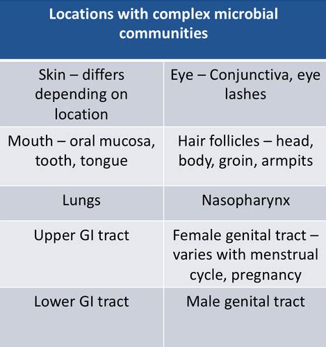 Human Microbiome Flashcards Quizlet