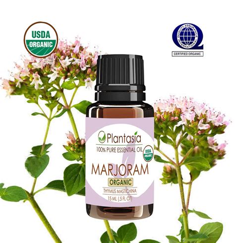 Marjoram Organic Essential Oil 100 Pure Therapeutic From Spain By