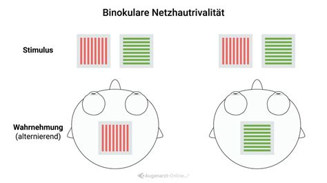 Binokulare Rivalit T Lexikon Der Augenheilkunde