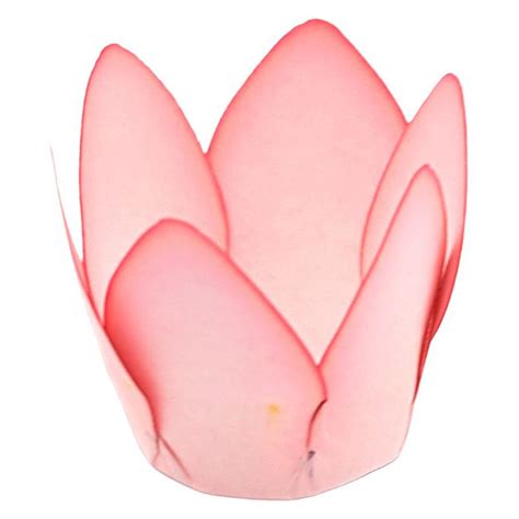 Forminha Para Doces Finos Monaco Nude Claro Mate Unidades