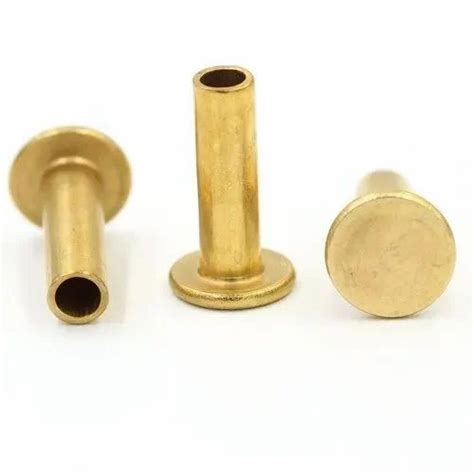 Solid Or Half Round Golden Brass Rivet Mm At Rs Piece In Bhavnagar