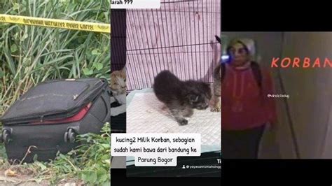 Rini Mariany Pecinta Kucing Dibunuh Dimasukkan Dalam Koper Di Bekasi