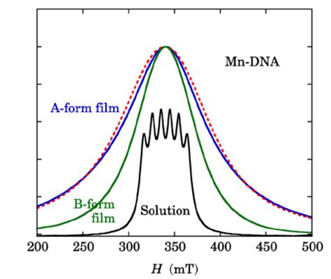 Color Online Absorption Spectra For The Ca X Mn X Dna X