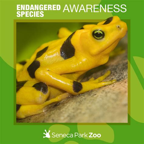 Endangered Species Weekend 2023 - Seneca Park Zoo