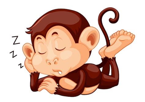 Premium Vector A Monkey Sleeping On White Background