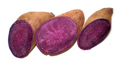 Purple Yam facts and health benefits