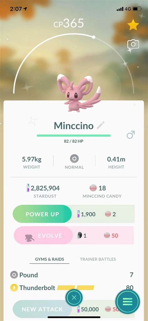 Cinccino Pokémon: How to catch, Stats, Moves, Strength, Weakness, Trivia, FAQs