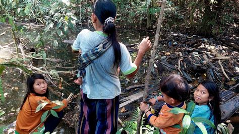 Suasana Tepi Hutan Kalimantan Bersama Suku Punan Memancing Ikan Youtube