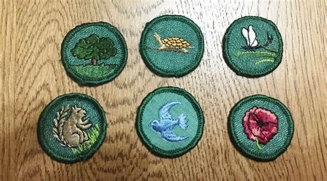 6 Vintage Girl Scout Badges 1960s Great Condition Gently Removed From