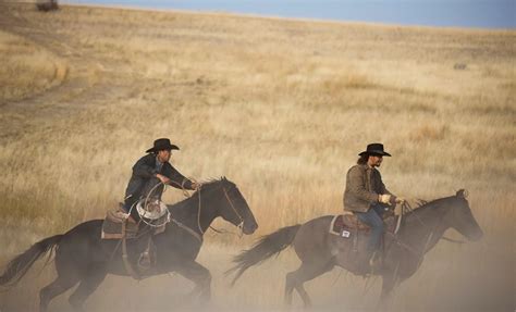 The Best Horseback Rider On Yellowstone Isnt Who You Think Today News