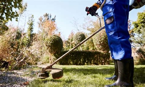 Lawn Mowing Safety Essential Tips And Guidelines Reaching World Live