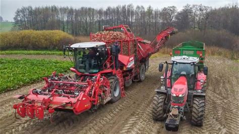 Ekstremalne Kopanie Buraków 2023 Grimme Rexor 6200 Massey Ferguson