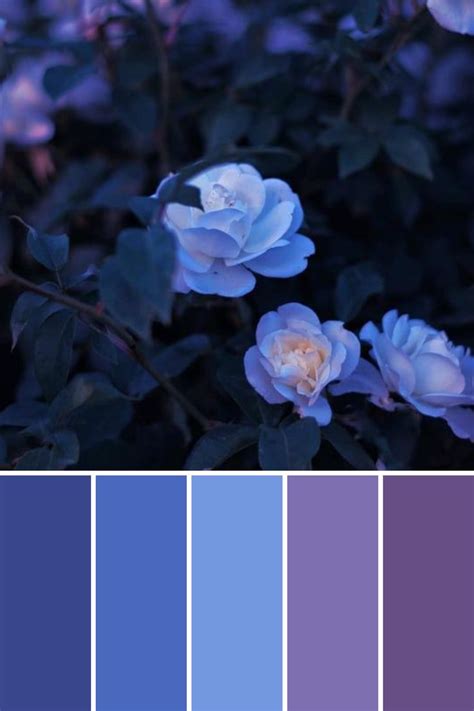 Pin By Pallvi Sharma On Color Palette Faves Color Palette Design