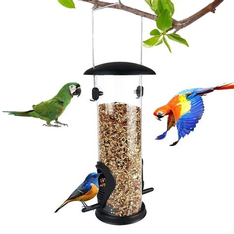 Mangeoires Automatiques Pour Les Amateurs D Oiseaux Mangeoire Ext