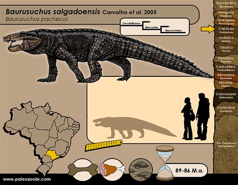 Baurusuchus salgadoensis Prehistoric Wildlife, Prehistoric Creatures ...