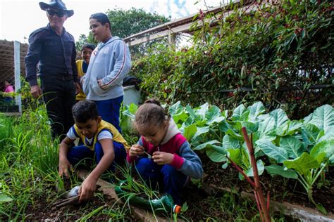 Midianews Governo Incentiva Estudantes No Cultivo De Hortas Escolares