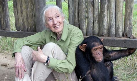 Le Message De Jane Goodall Pour The Inspiration Journey Helloplanettv