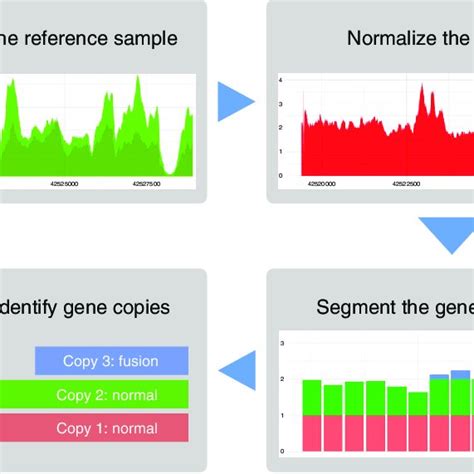 Graphical Representation Of Structural Variation Detection Algorithm