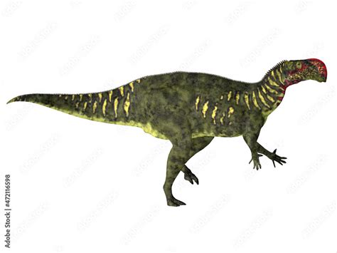 Altirhinus Herbivore Dinosaur Altirhinus Was A Duck Billed Iguanodon