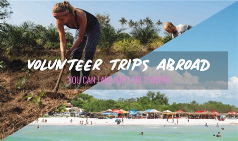 Volunteer Trips Abroad You Can Take For 1 Or 2 Weeks Ivhq