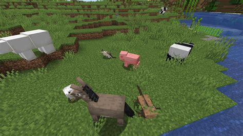 Top 5 Rarest Animals In Minecraft 118 2022