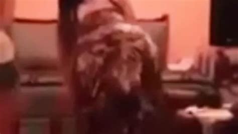 Free Arab Dance Porn Videos XHamster