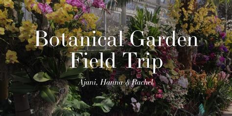 Botanical Garden Field Trip