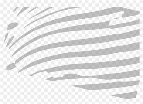 Zebra Stripes Monochrome Hd Png Download 1280x882 468768 Pinpng