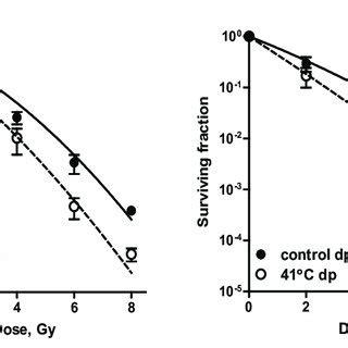 Radiation Survival Curves Of Confluent Cultures Of Sw Cells Human