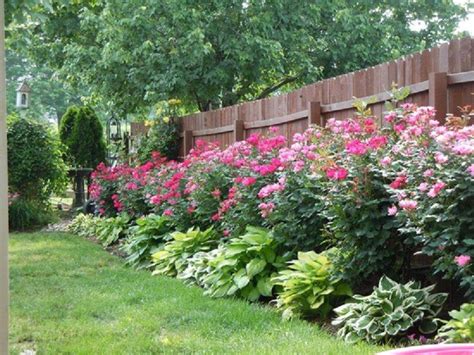 25 Rose Garden Border Ideas You Must Look | SharonSable