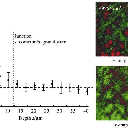 Fluorescence Lifetime Image And Corresponding PH Image Of A Layer In