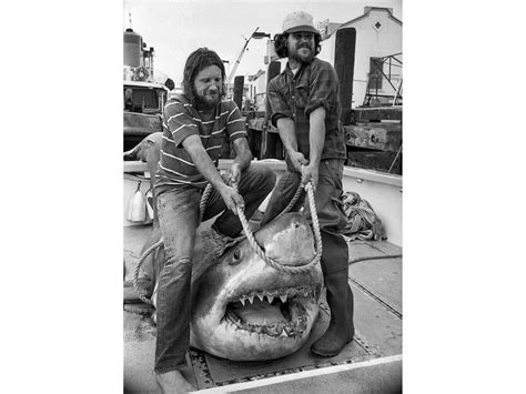Biggest Shark Ever Caught World Record