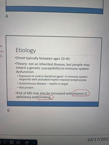 MS Flashcards Quizlet