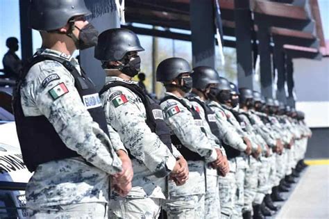 Siete De Cada Diez En Gn Provienen Del Ejército