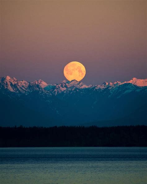 Moonset over the Olympic Mountains at sunrise, seen from Seattle [OC][1600x2000] : r/EarthPorn