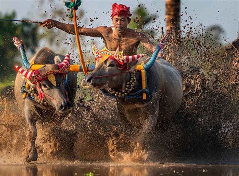 Olahraga Tradisional Asli Indonesia Yang Terkenal Di Luar Negeri