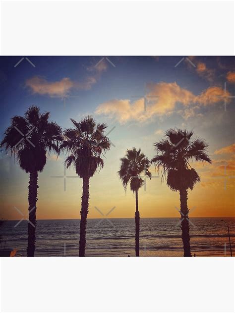 Cali Palms Poster By Middlejourney Redbubble