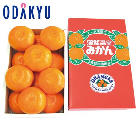 【楽天市場】まもなく販売終了！／【公式】 小田急百貨店 ギフト お中元 2024 愛知県産 蒲郡ハウスみかん フルーツ 果物 果実 ｜お届け