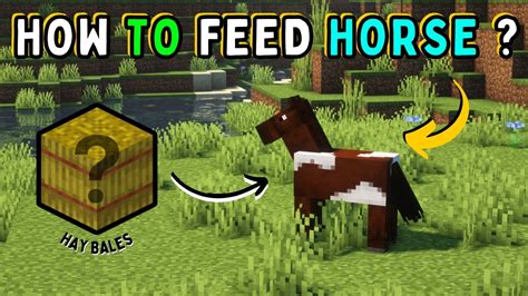 🐴 Revealed How To Feed A Horse In The Minecraft World 🌍 Horse Feeding